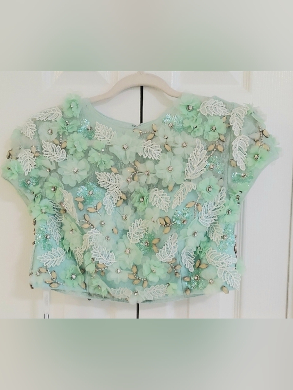 Terani Couture Gown, 2 Piece, New, Size 12, Mint Embroidery, Sheer, Skirt